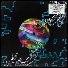 VINTAGE CULTURE, MAGNUS - NOTHING EVER CHANGES (CAMELPHAT REMIX)