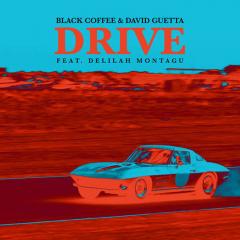 BLACK COFFEE & DAVID GUETTA FT DELILAH - MONTAGU DRIVE
