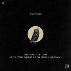 JOSH WINK & LIL LOUIS - HOWS YOUR EVENING SO FAR (CHRIS LAKE RMX)