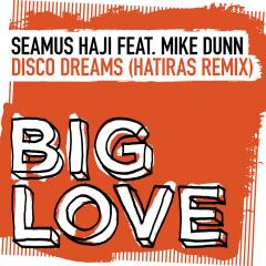 SEAMUS HAJI - DISCO FOOL