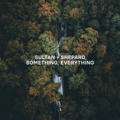 RICHARD WALTERS, SULTAN + SHEPARD - SOMETHING, EVERYTHING (ORIGINAL MIX)