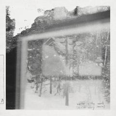 NOPI - WINTER IN THE WOODS